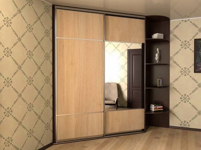 Шкаф-купе АХ-28-27 BMS(Белье - Платье (2 верх. полки) (2))